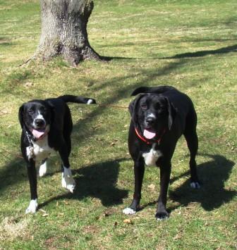 webassets/KatieYeagerweb.JPG